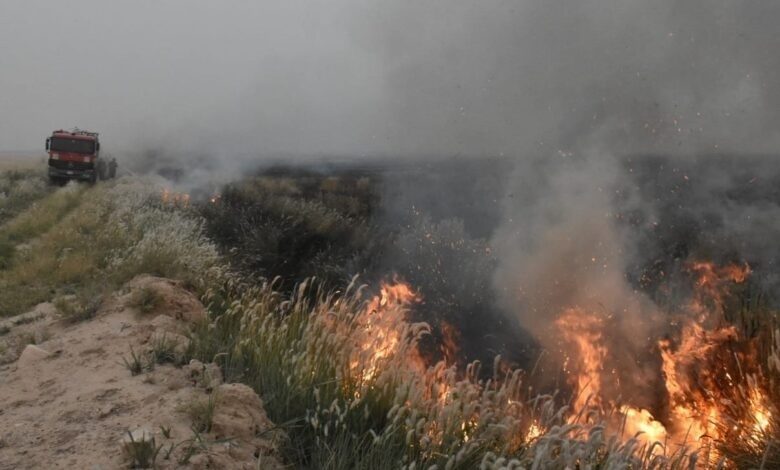 شەش جووتیاری گوندێکی کەرکووک بەدەستی داعش شەهید کران