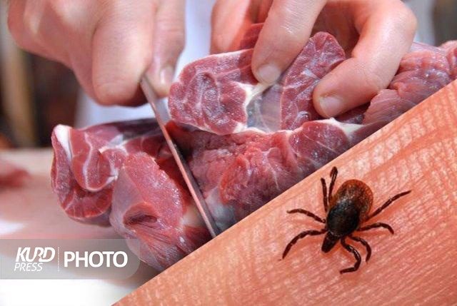 فصل گرما و شیوع بیماری تب خونریزی دهنده کریمه کنگو