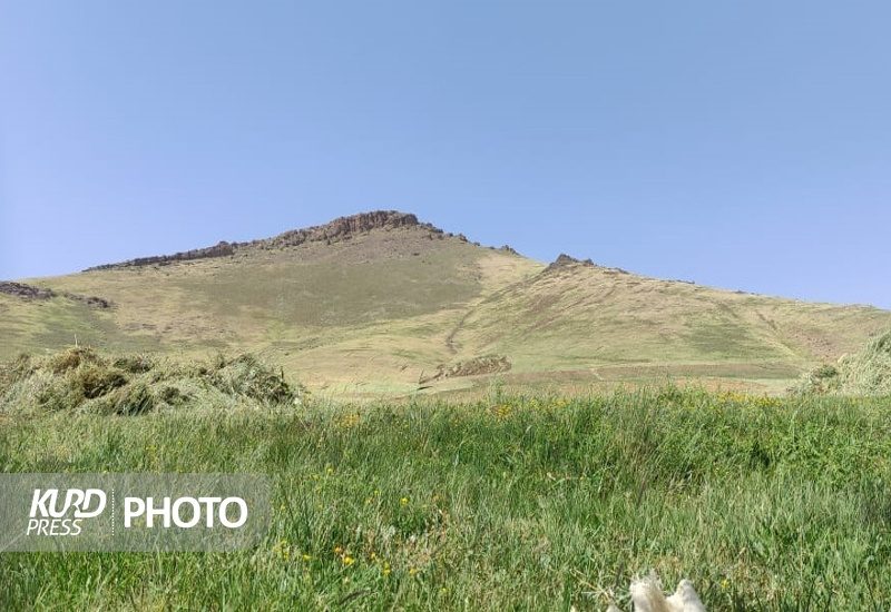 عرصه واگذار شده به عنوان معدن در روستای قلعه گاه جزو منابع طبیعی است