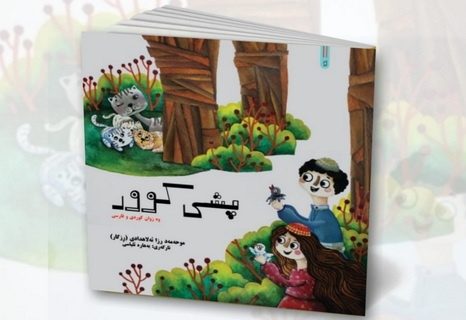 «پشی کوور» به بازار آمد