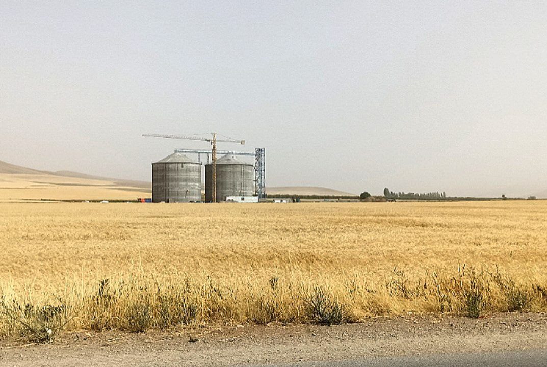 کشاورزی پیشران توسعه استان کردستان است