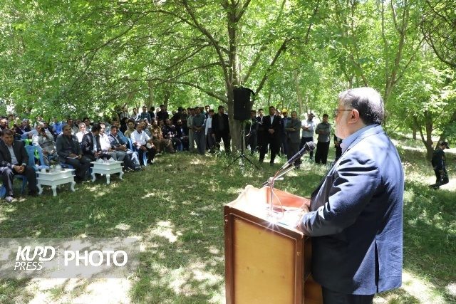 هیچ جا صحبتی از سیب آذربایجان غربی نمی شود/ زحمت باغداران در جیب دلالان!
