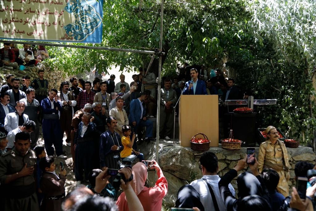 استاندارکردستان : برای  توت کُردی برند سازی شود/ صنایع تکمیلی نیاز استان