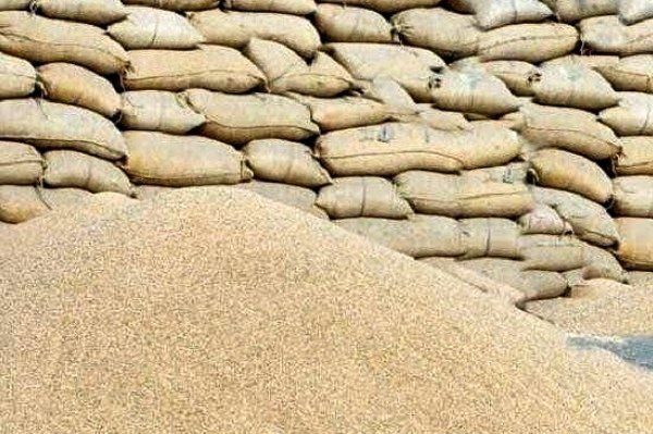 کشف 800 تن جوی احتکار شده در روانسر
