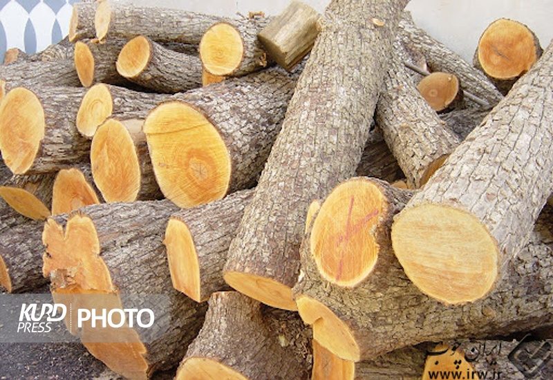 کشف 24 تن چوب قاچاق در قروه