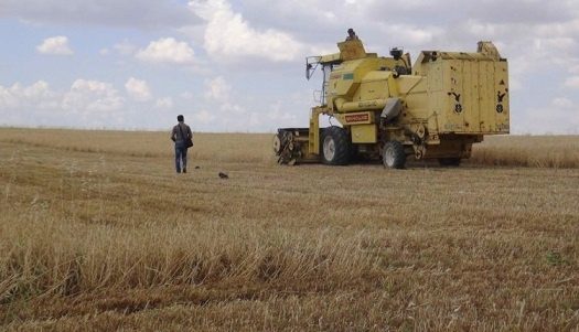کمبود جدی غلات در مناطق تحت کنترل کردهای سوریه