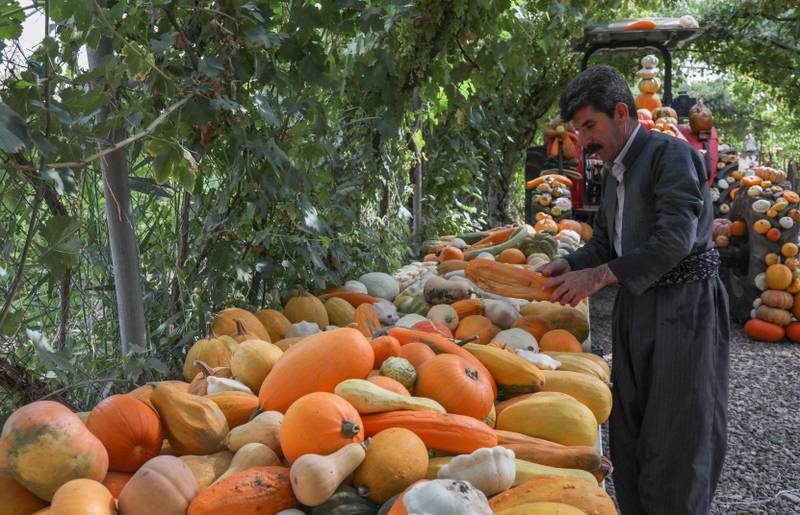 بازتاب جهانی موفقیت کشاورز کرد ساکن حلبچه
