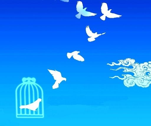 رهایی ۵ محکوم به قصاص نفس در آذربایجان غربی