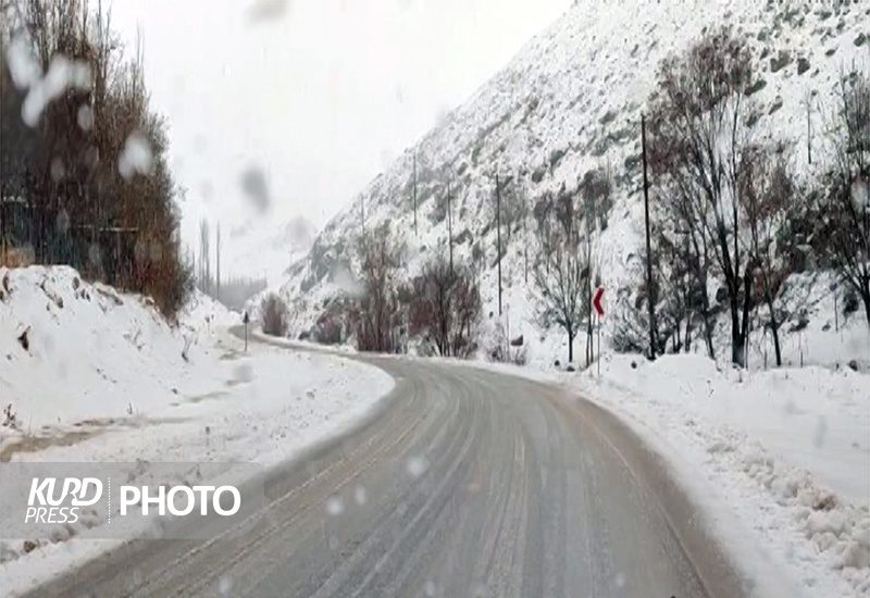 پیش بینی بارش برف در روز جمعه در کردستان