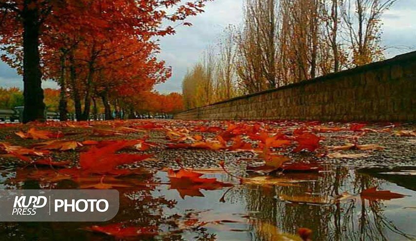 سردشت بارانی‌ترین شهر ایران شد