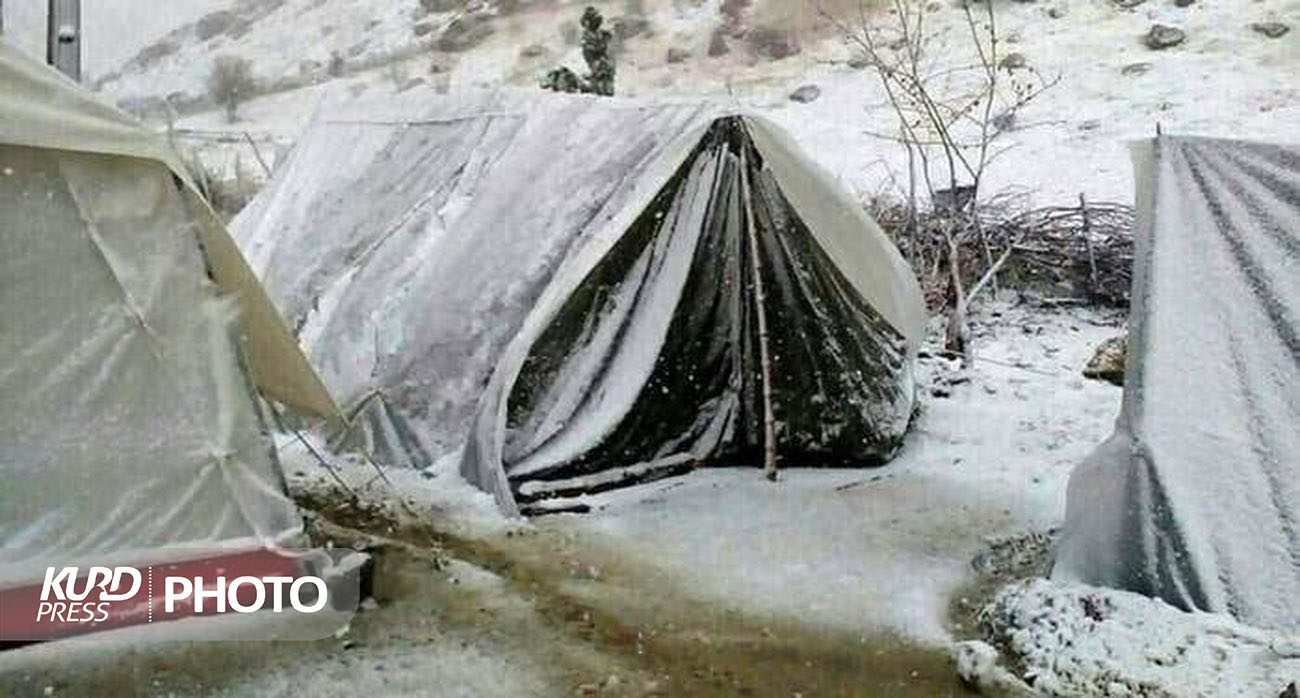 کانون کارشناسان دادگستری تهران ۵۰ کانکس به مناطق زلزله زده خوی اهدا می‌کند