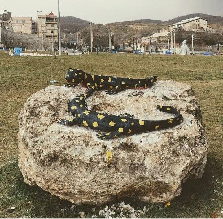 نصب تندیس سمندر کردستانی در پارک سردشت