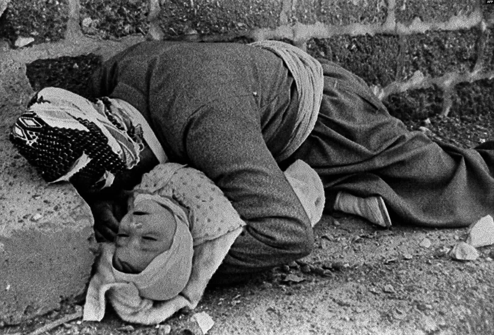 پێویست حکوومەتی فیدراڵی عێراق قەرەبووی تاوانی هەڵەبجە بکاتەوە