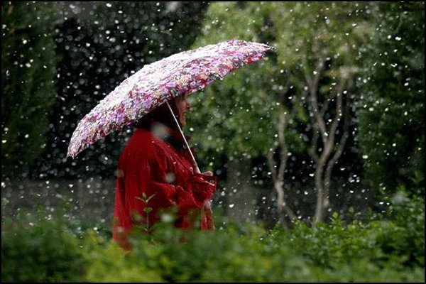 دوشنبه؛ شروع مجدد بارش های بهاری در کردستان