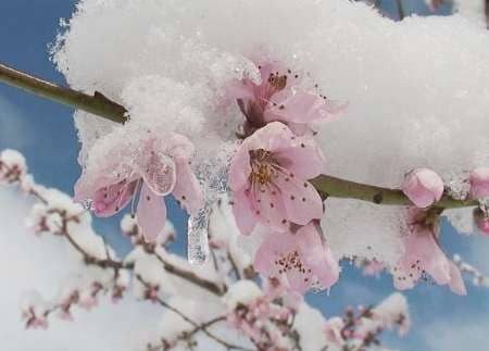 هوای کردستان سردتر می شود