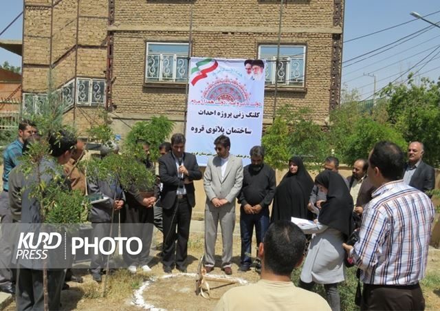 بی خانمانی تئاتر قروه پایان ندارد