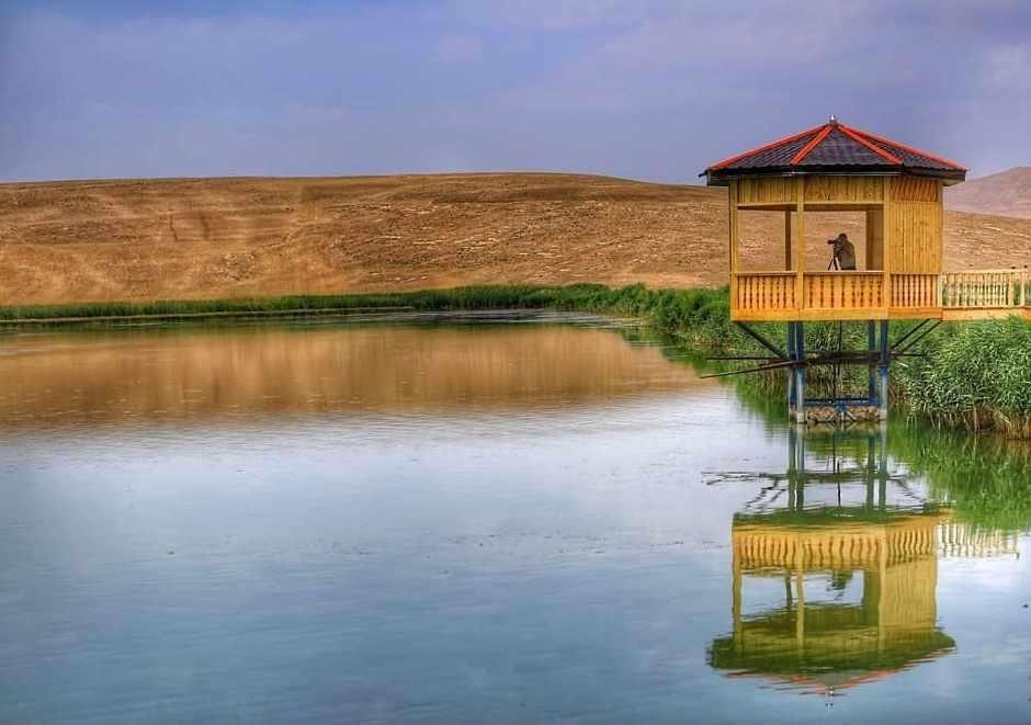 تالاب سولدوز نقده سایت پرنده نگری خواهد شد