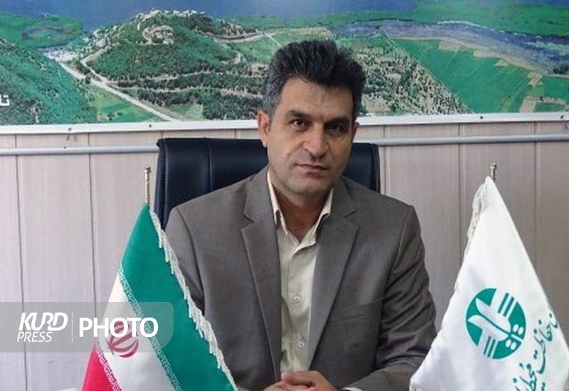 ارتباط عمیق تر بین دانشگاه و محیط زیست ضروری است