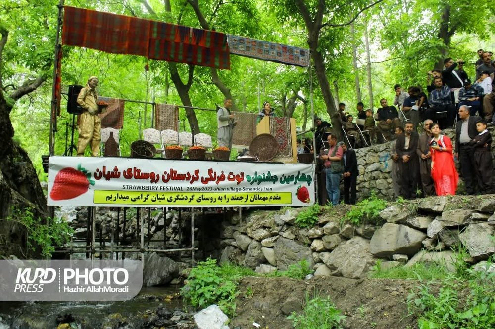 گزارش تصویری کرد پرس از جشنواره توت فرنگی شیان / عکس: هژیر الله مرادی