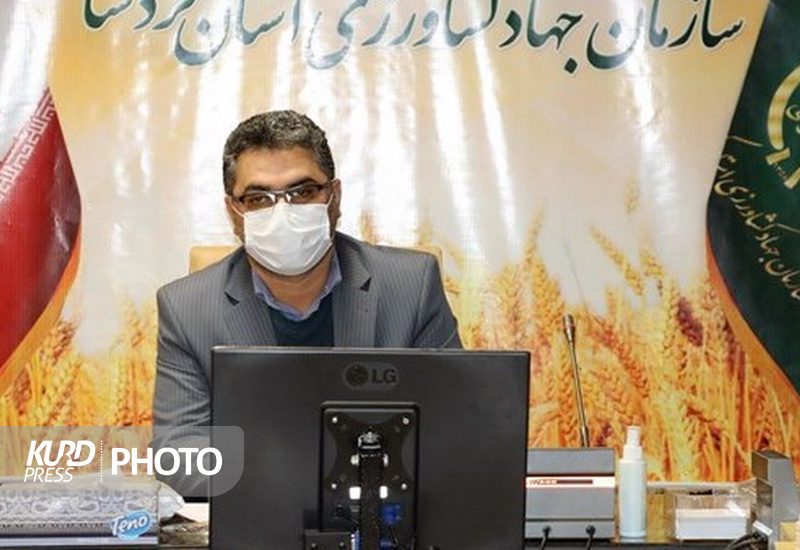 بهره برداری از ۱۴۸ پروژه کشاورزی در کردستان