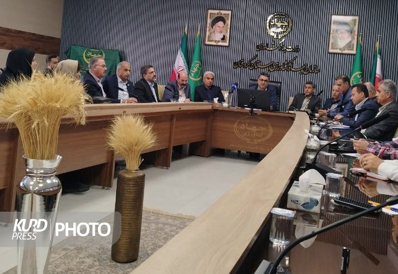 تولید ۱۰ درصد گندم کشور در کردستان/صادرات روزانه ۱۳۰۰ تن محصولات کشاورزی
