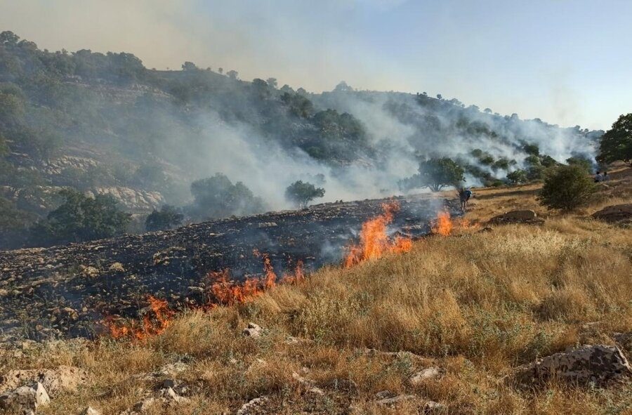 آتش‌سوزی عمدی بقایای اراضی کشاورزی ممنوع است