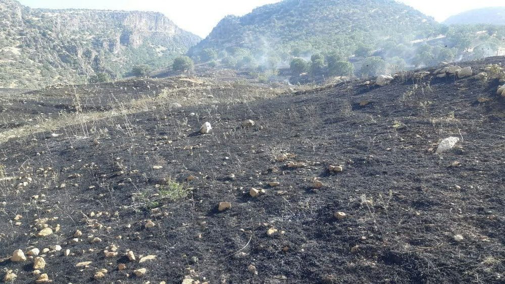 آتش سوزی روستای سفید خانی سیروان مهار شد