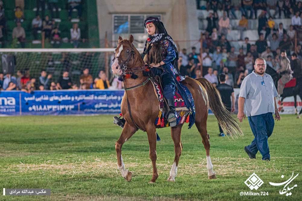 پرورش اسب کُرد، یک صنعت پرطرفدار در اقلیم کردستان است