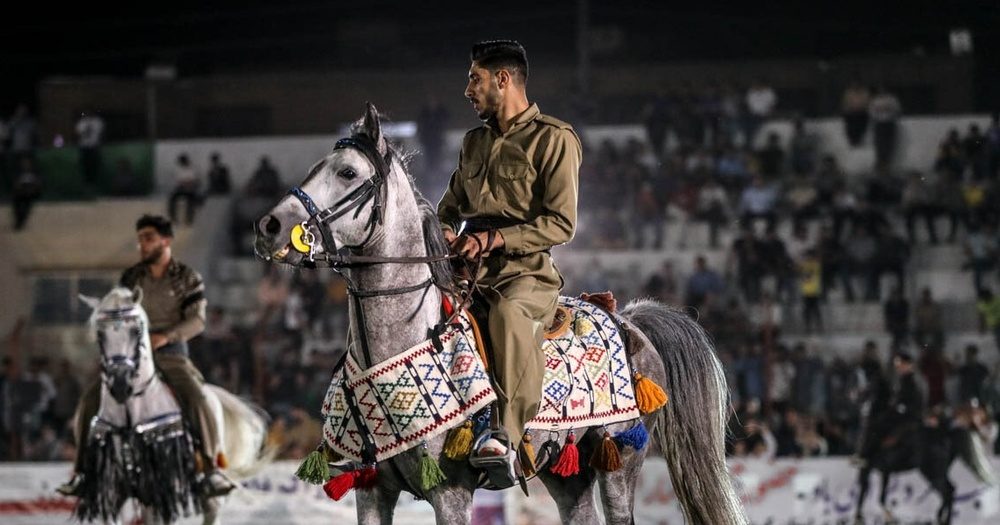 ۱۰۰ ئەسپی کورد لە فێستیڤاڵی نێودەوڵەتیی ئەسپی کورد لە کرماشان پێشان دران/وێنە