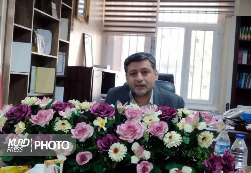 ۳۲۰ تخته فرش حین خروج به سمت کشور عراق کشف شد