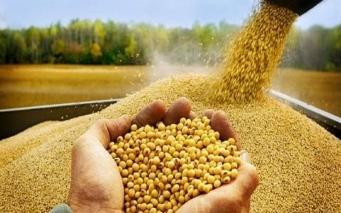 کشف 40 تن سویای قاچاق در اسلام آباد