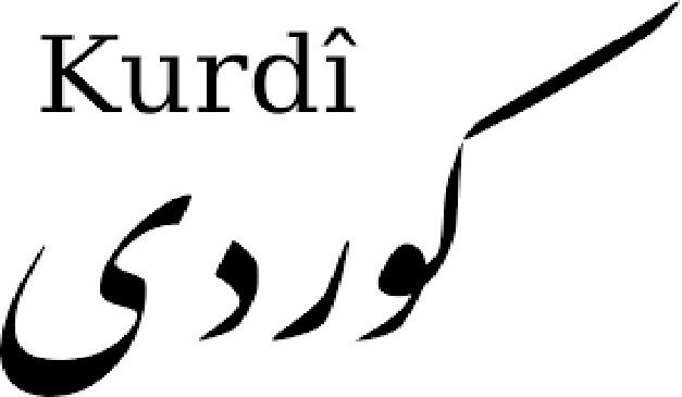 زمانی کوردی  هەشتەم دەوڵەمەندترین زمانی جیهانە
