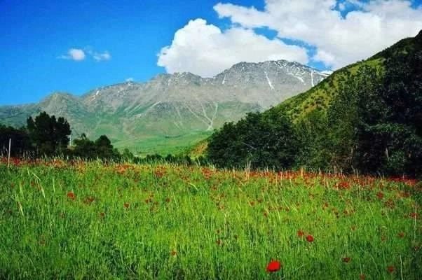 آنکارا کوههای کردستان را به میدان آزمایش 10 نوع سلاح تبدیل کرده است