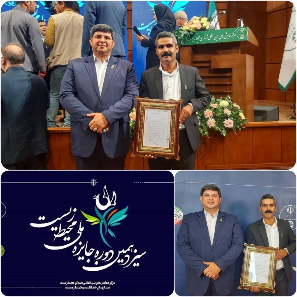 سمن «نوژین سبز» نقده رتبه سوم کشوری را کسب کرد