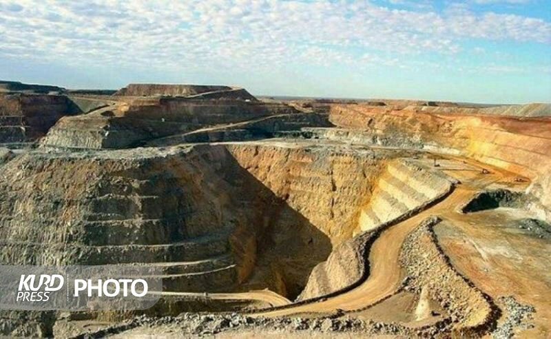 عدالت در پرداخت مالیات میان تولیدکنندگان رعایت شود