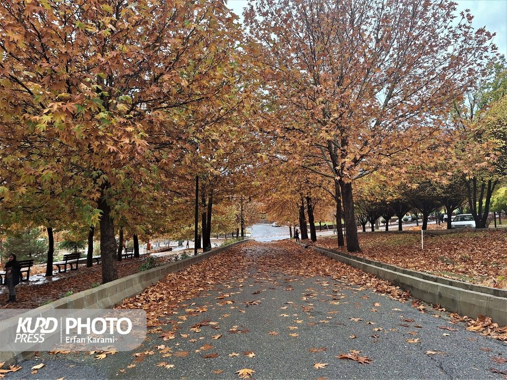 رخسار پاییزی سنندج