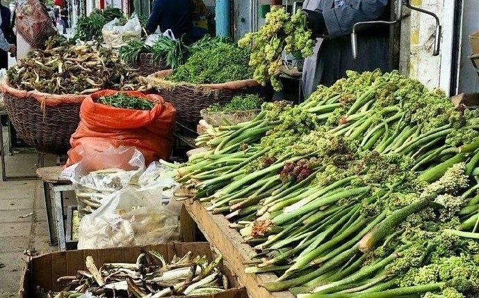 گیاهان خوراکی کوهستان؛ میراثی از طبیعت کردستان