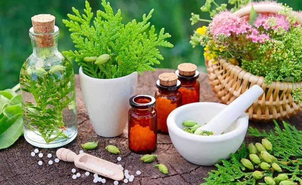 آذربایجان غربی رتبه نخست تنوع گونه گیاهان دارویی ایران را دارد