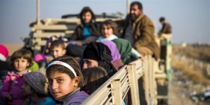 غیاث سورچی: حزب دمکرات کردستان با 11 هزار پیشمرگه از شنگال فرار کرد