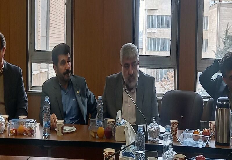 ۹۰ میلیارد تومان تسهیلات مشاغل خانگی در کردستان پرداخت شد