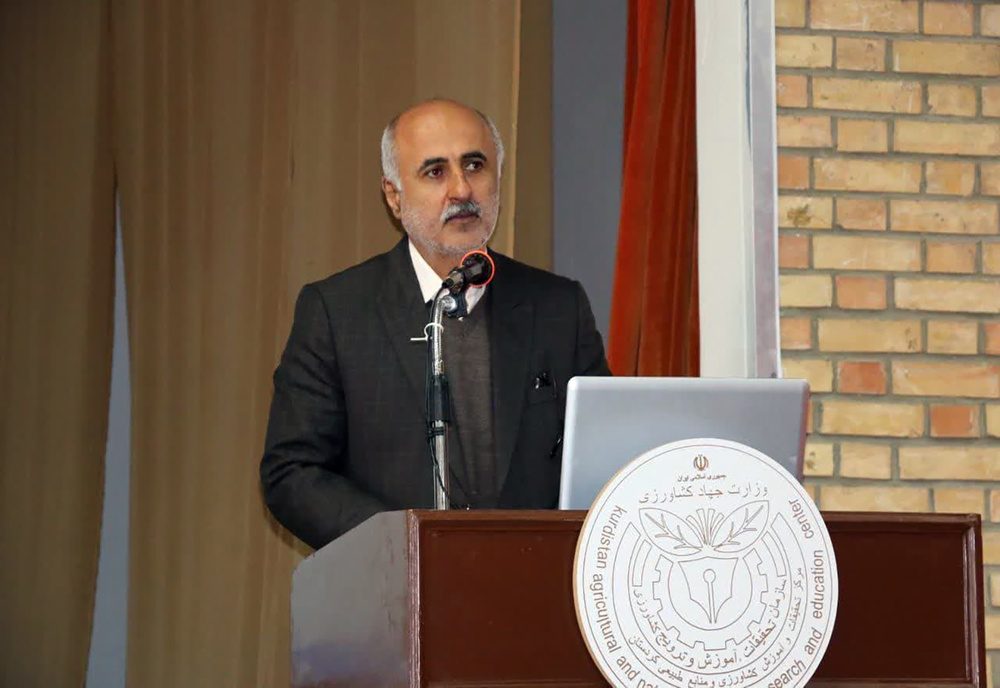 پرداخت مطالبات؛ مطالبه اصلی گندم کاران کردستان