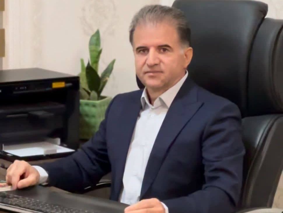 همایون مرادنژادی رئیس دانشگاه ایلام شد