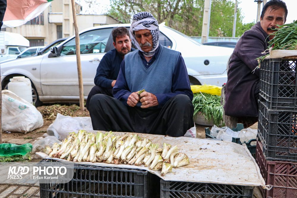 بازار گیاهان دارویی و خوراکی بهاری کرمانشاه / عکس: عرفان کرمی