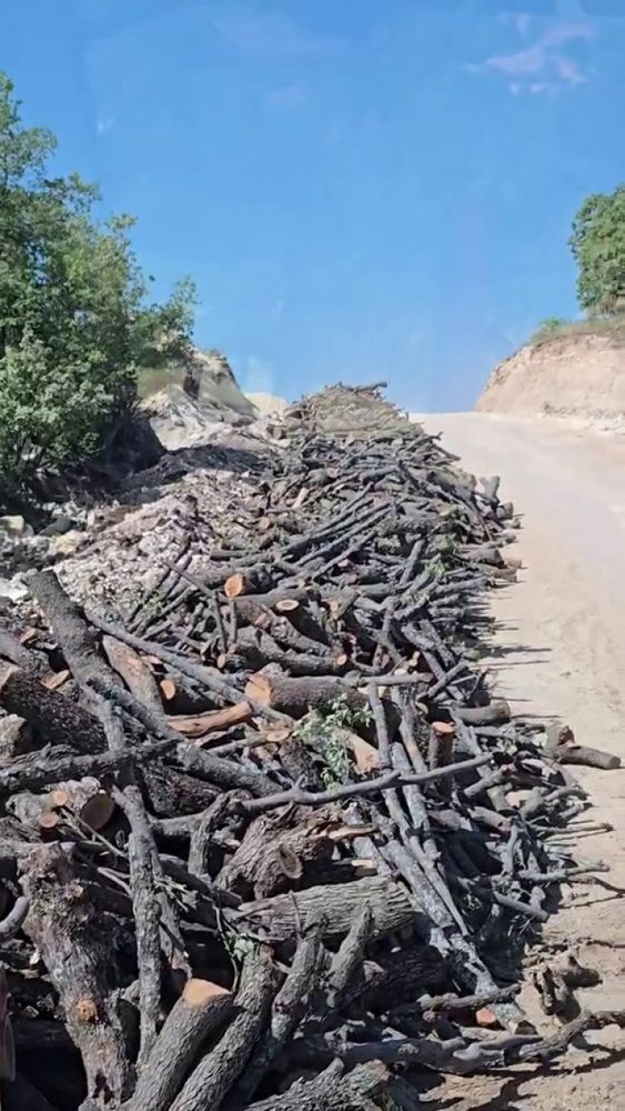 تخریب گسترده‌ی محیط‌زیست در کوه گابار؛ قطع درختان برای ساخت جاده‌های نظامی و حفاری نفت