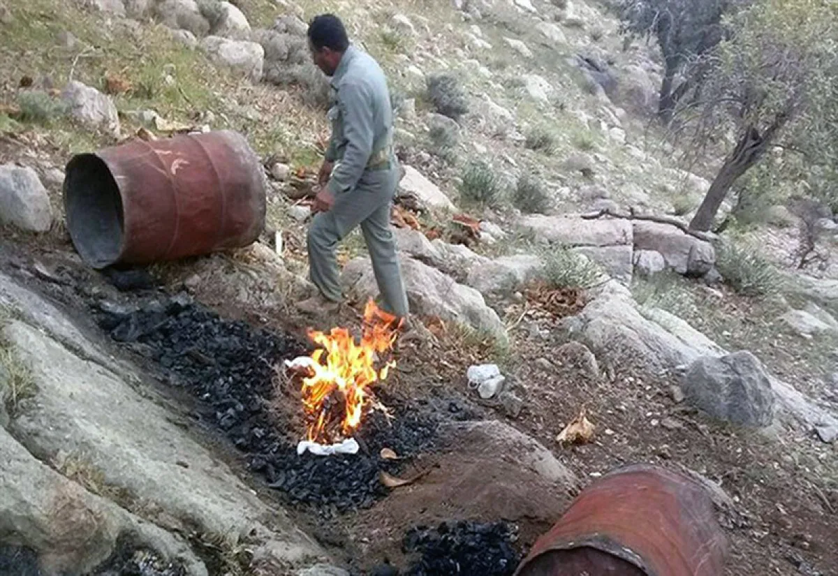 ۹ کوره زغال گیری غیرمجاز در جنگل های مریوان منهدم شد