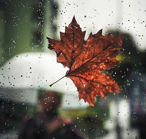 شروع کاهش دما از امشب در آذربایجان غربی