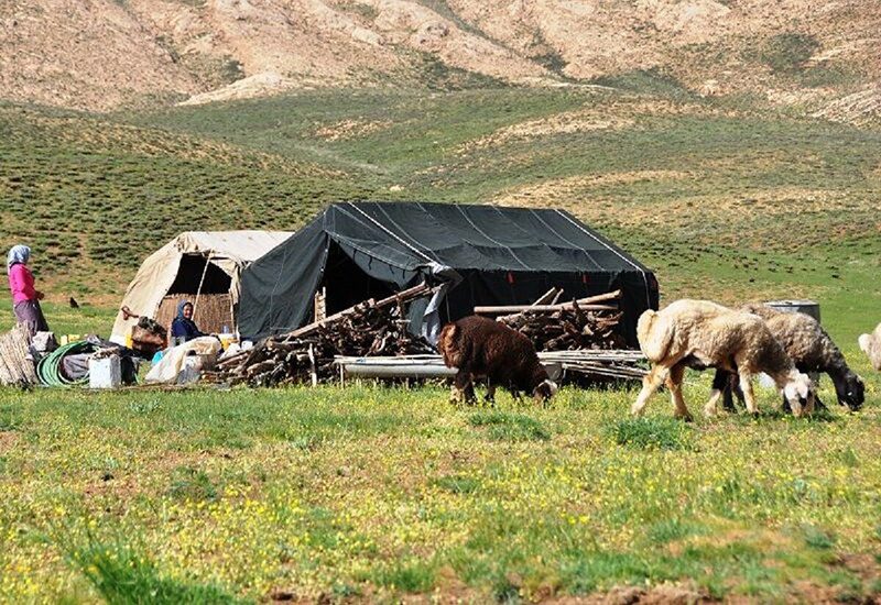 مسمومیت ۱۳ کارگر فصلی در دهگلان بر اثر استنشاق گاز مونوکسیدکربن