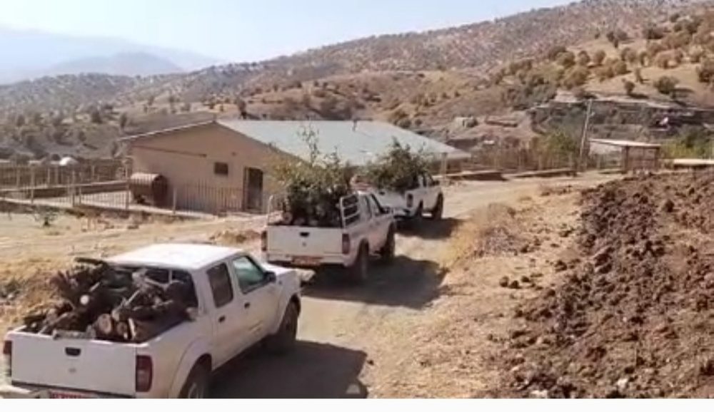 ۱۰ محموله چوب قاچاق در منطقه بیلوه بانه کشف و توقیف شد
