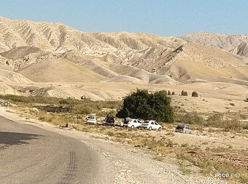درختی که از خون و آب رویید؛ روایت مردی که با دو دبه، جاده سرنی را سبز کرد / یاسر بابایی