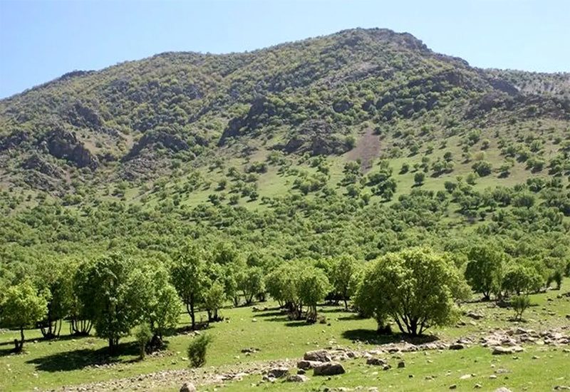 ۵۷۸ کیلومتر کمربند حفاظتی برای صیانت از اراضی ملی در کردستان اجرا شد